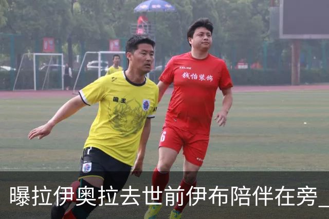 曝拉伊奥拉去世前伊布陪伴在旁 两人合作多年